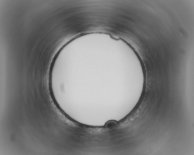 X0000110690949200907101146