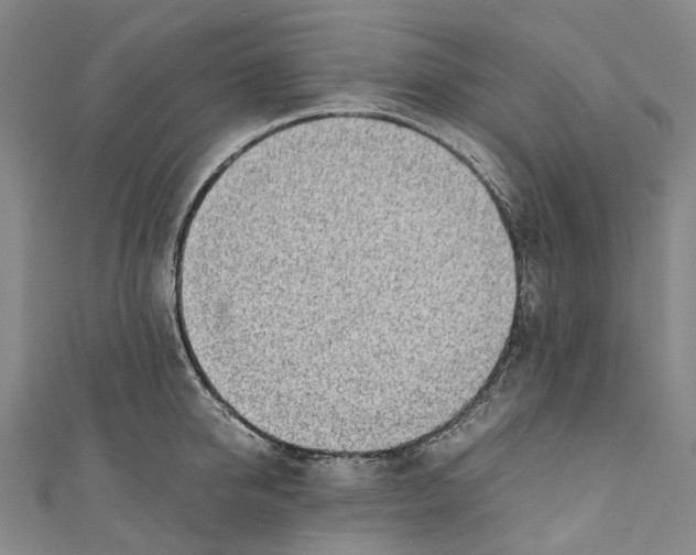 X0000110690950200907101146