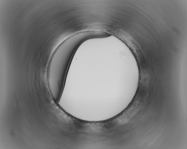 X0000110690952200907101146