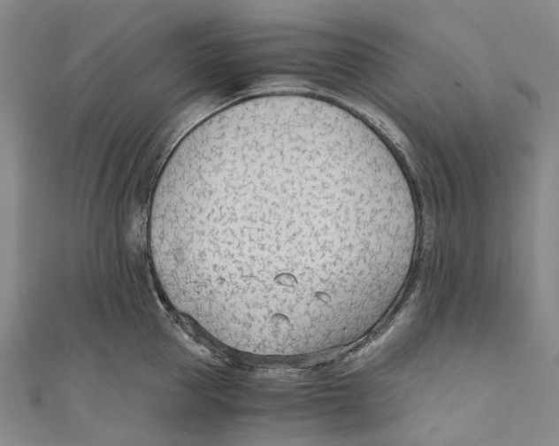 X0000110690953200907101146