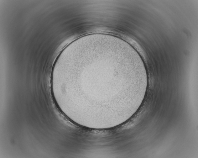 X0000110690954200907101146