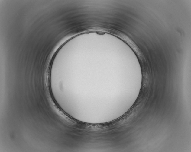 X0000110690955200907101146