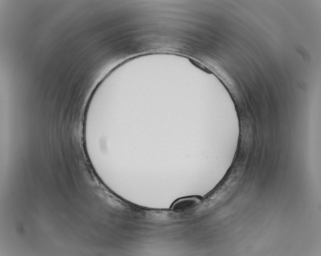 X0000110690956200907101146