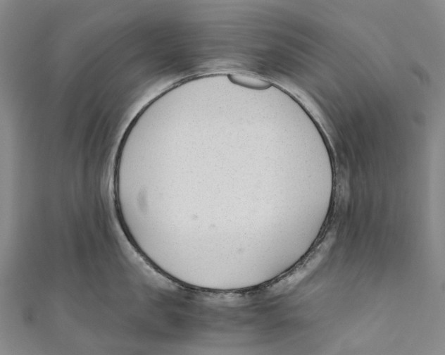 X0000110690957200907101146