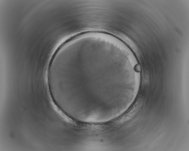 X0000110690958200907101146