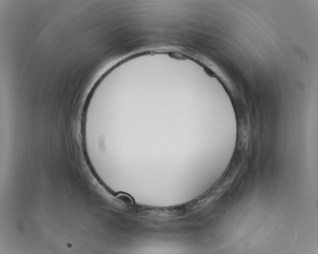 X0000110690959200907101146