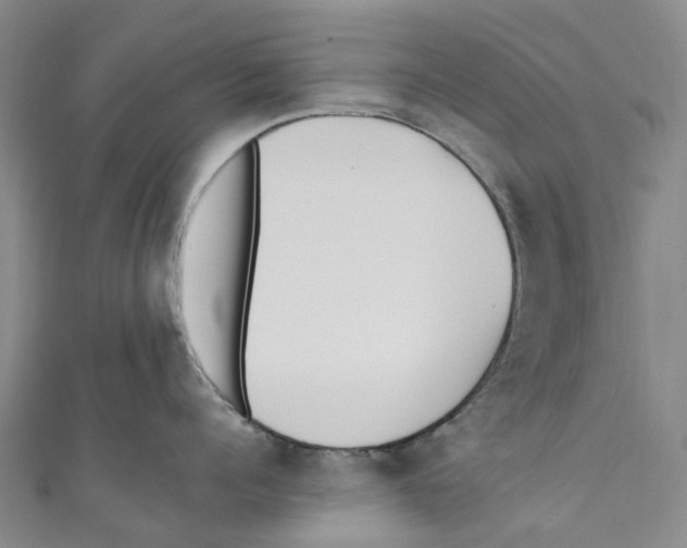 X0000110690960200907101146