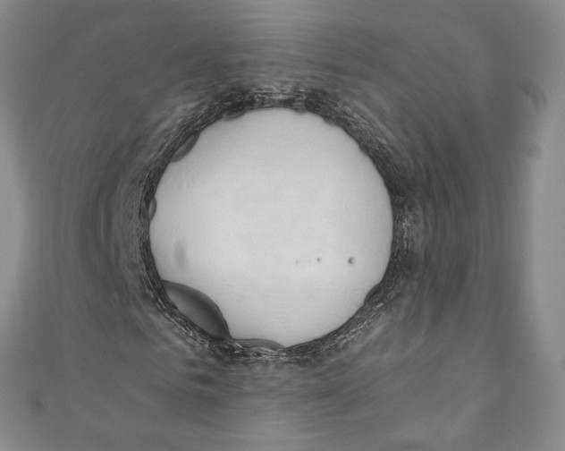 X0000110690961200907101145