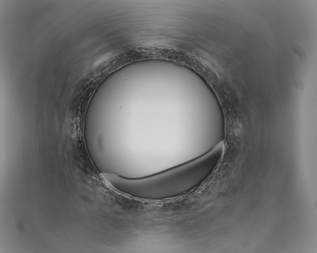 X0000110690965200907101145