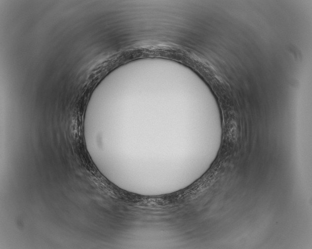 X0000110690966200907101145