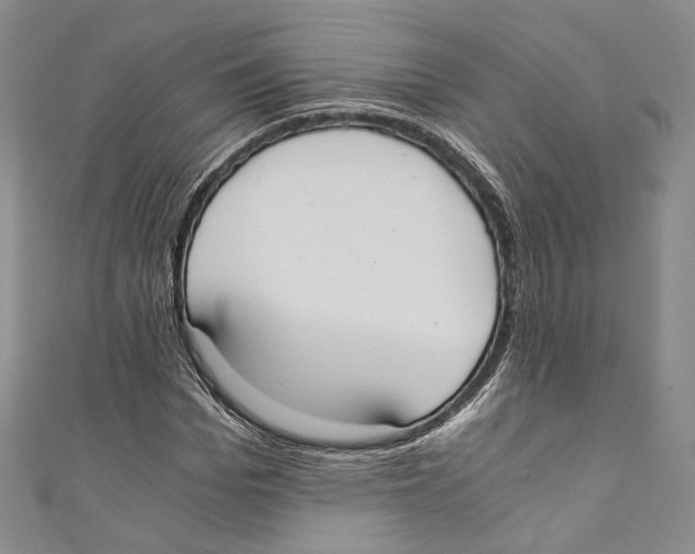 X0000110690969200907101145