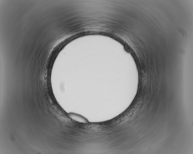 X0000110690971200907101145