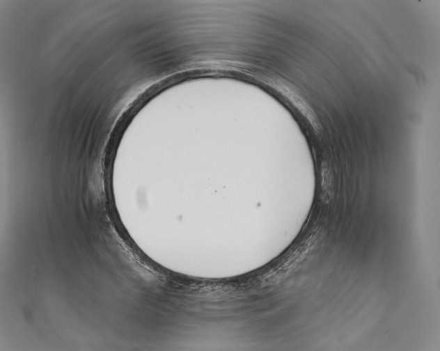 X0000110690972200907101145