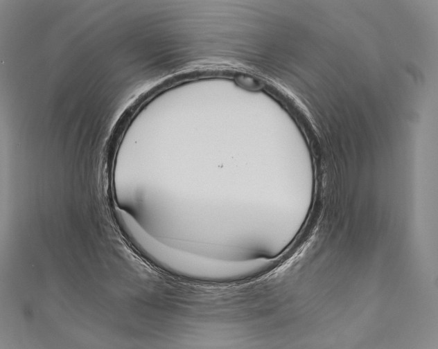 X0000110690973200907101145