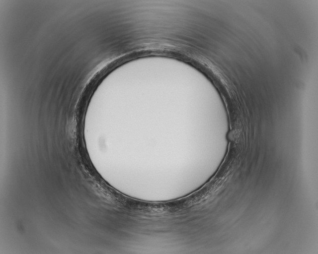 X0000110690975200907101145