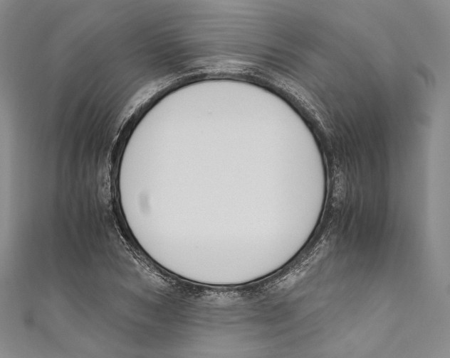 X0000110690978200907101145