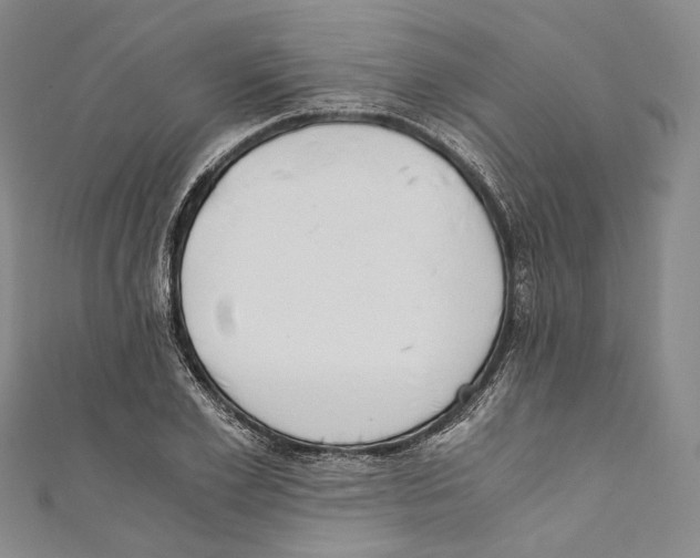 X0000110690981200907101145