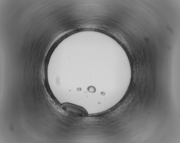 X0000110690984200907101145