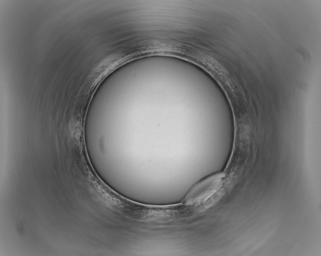 X0000110690985200907101145