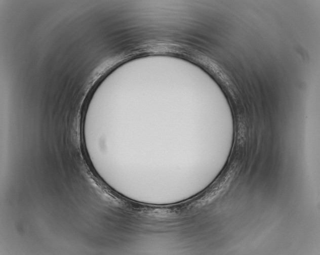 X0000110690986200907101145