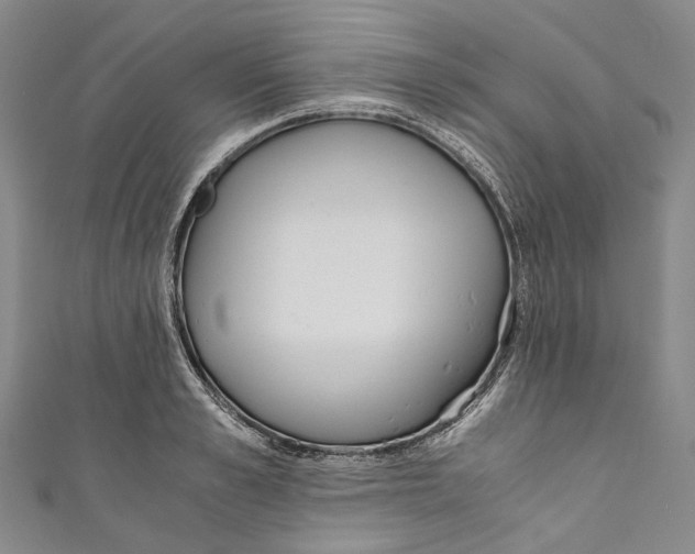 X0000110690989200907101145