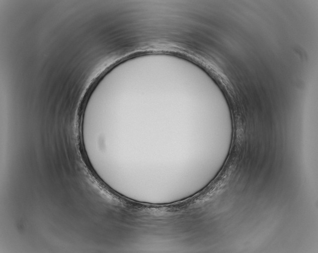 X0000110690990200907101145