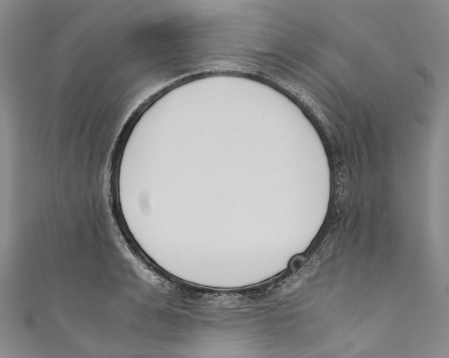 X0000110690991200907101145