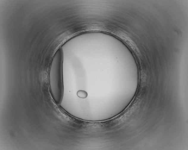 X0000110690993200907101145