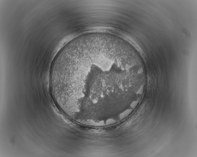 X0000110690994200907101145