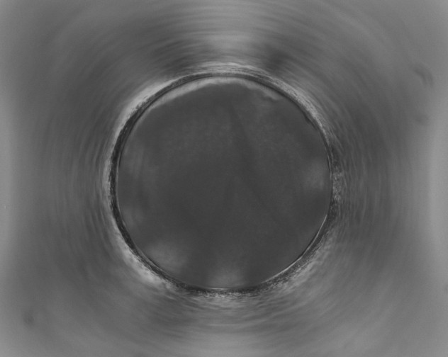 X0000110690995200907101145