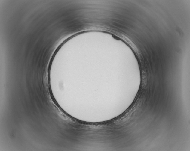 X0000110690996200907101145