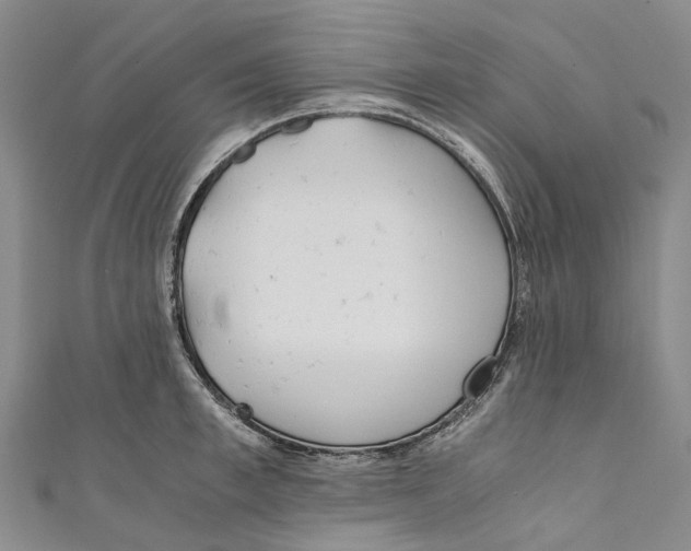 X0000110690997200907101145