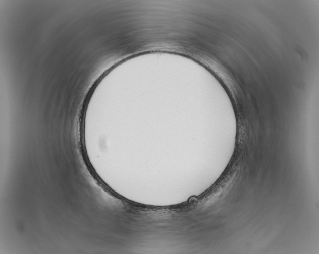 X0000110690999200907101145