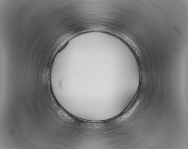 X0000110691001200907101145