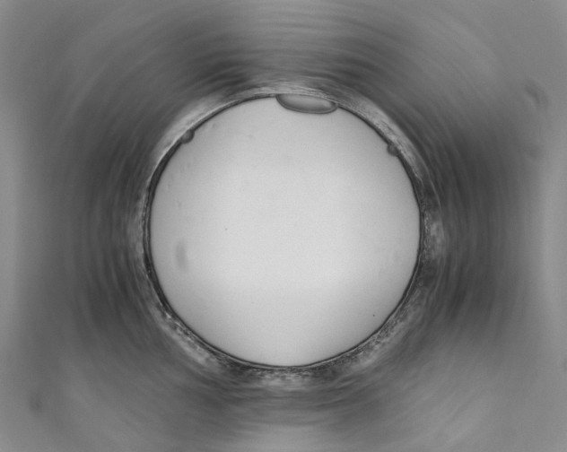 X0000110691002200907101145