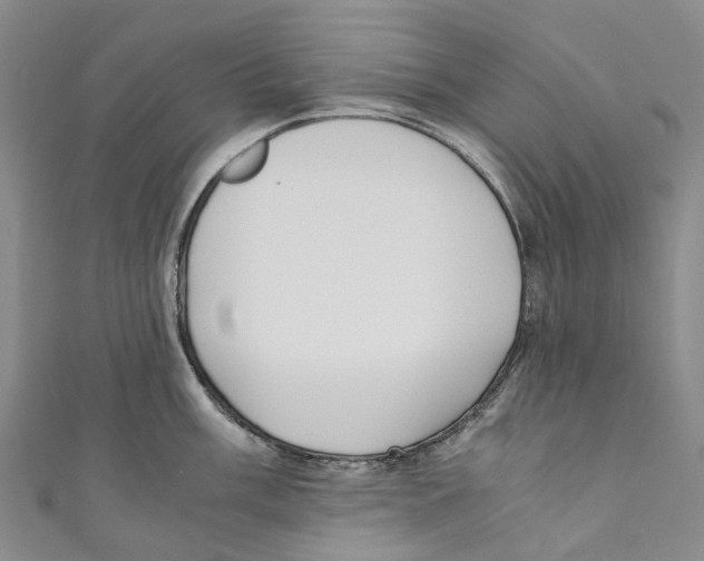 X0000110691003200907101144