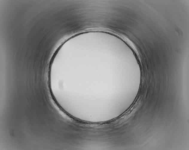 X0000110691005200907101144