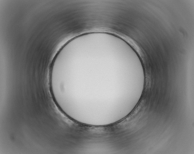 X0000110691006200907101144