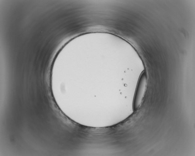 X0000110691008200907101144