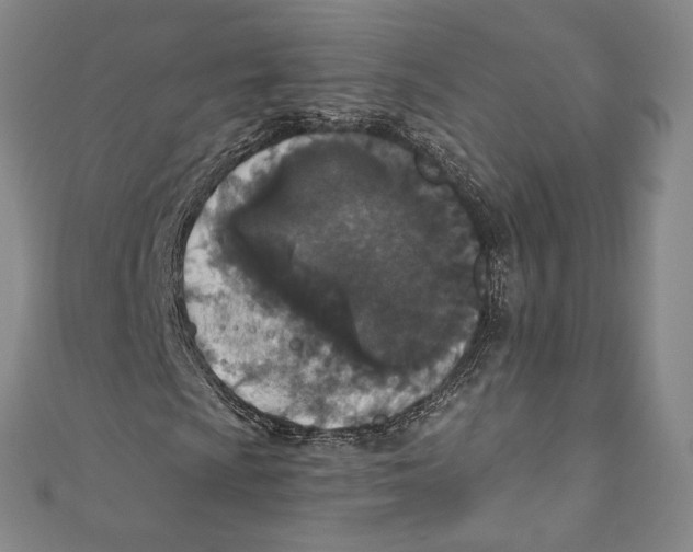 X0000110691009200907101144