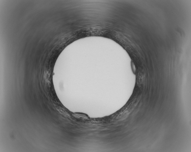 X0000110691010200907101144