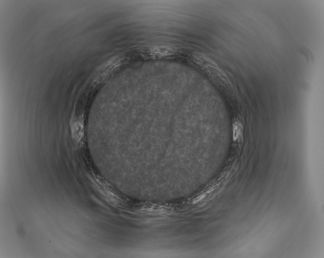 X0000110691011200907101144