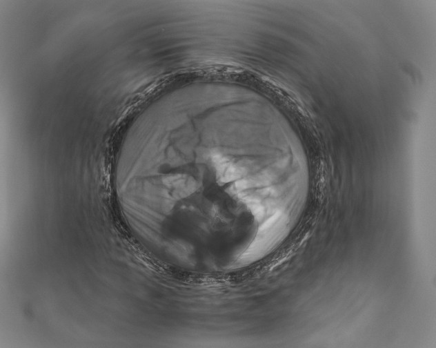 X0000110691013200907101144