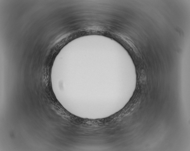 X0000110691015200907101144