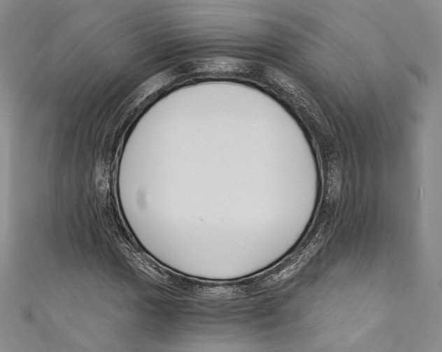 X0000110691017200907101144