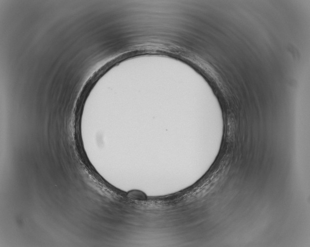 X0000110691020200907101144