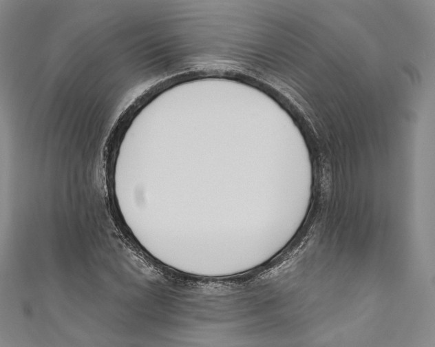 X0000110691022200907101144