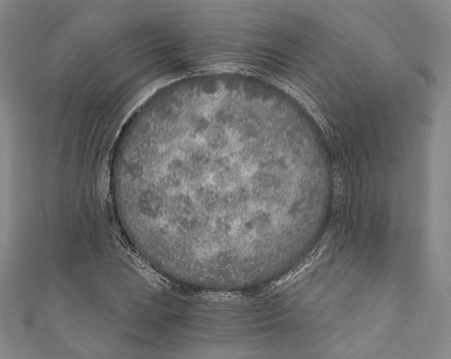 X0000110691023200907101144