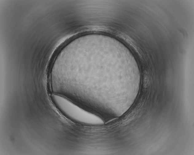 X0000110691024200907101144