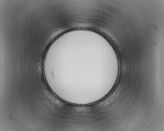 X0000110691025200907101144